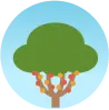 a tree icon